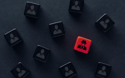 Employment Fraud Indicators blog image