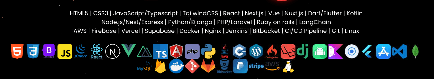 Graphic 12: Listed program languages on Huy Diep’s website.